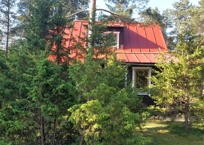 Sinilille Suvemaja Saunaga Holiday home